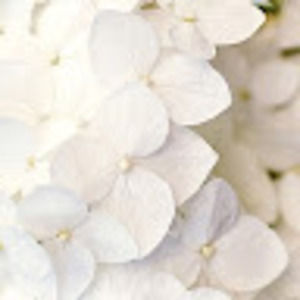 Meet your Posher, Katrina